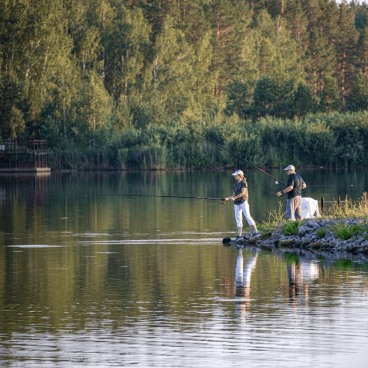 Прогулочная дорожка в лесу